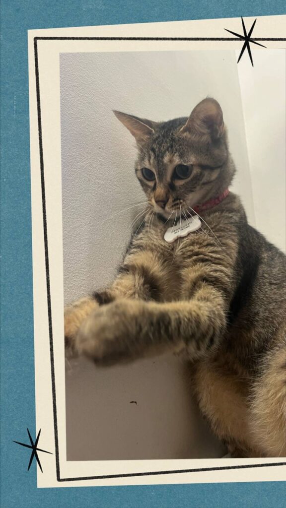 東大阪市　就労継続支援　b型事業所